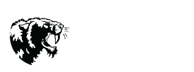 Discover MS logo